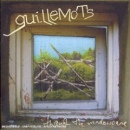 The Guillemots - Through the Windowpane